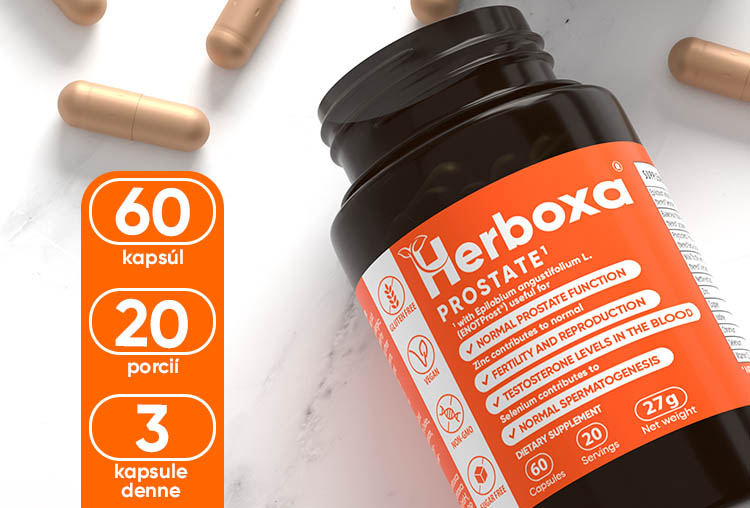 HERBOXA PROSTATE | 60 kapsúl